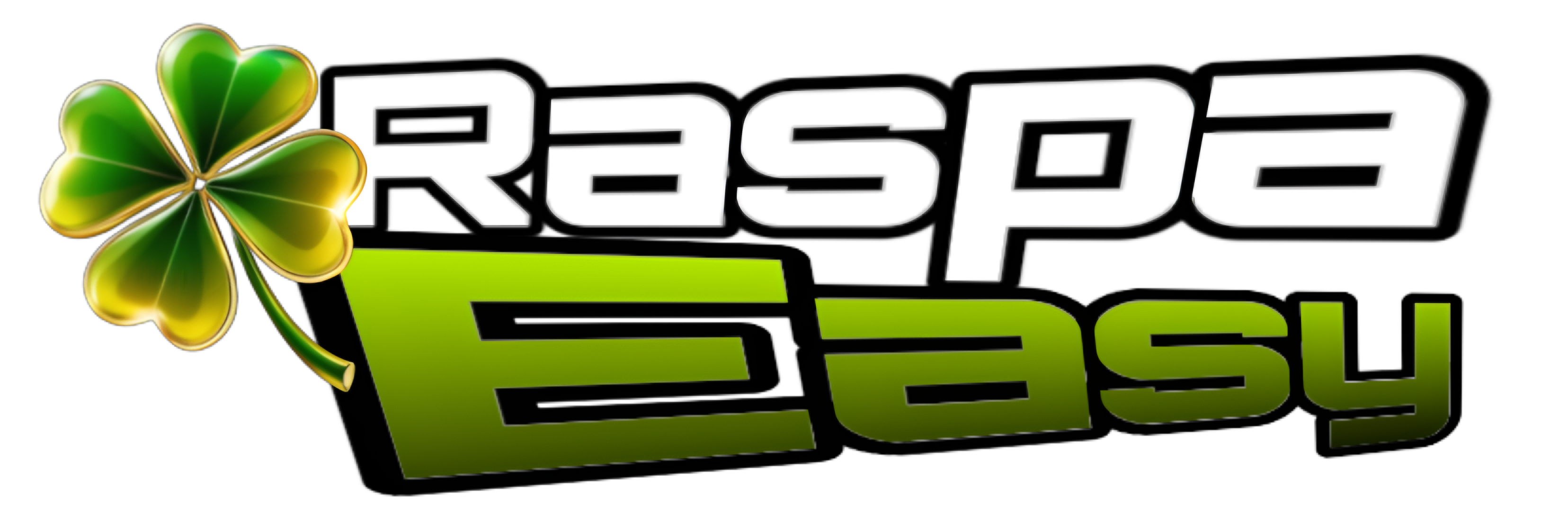 RASPA-EASY